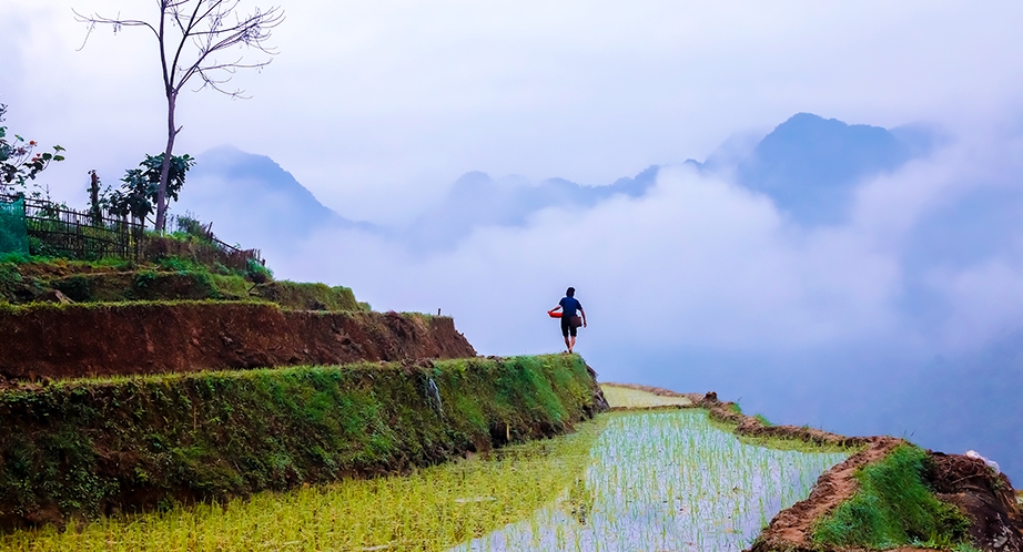 Day 2: Mai Chau - Pu Luong (Breakfast, Dinner)